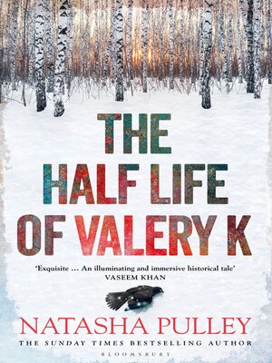 The Half Life of Valery K - ebook